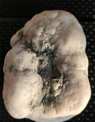 598.2克蛋白石原石.