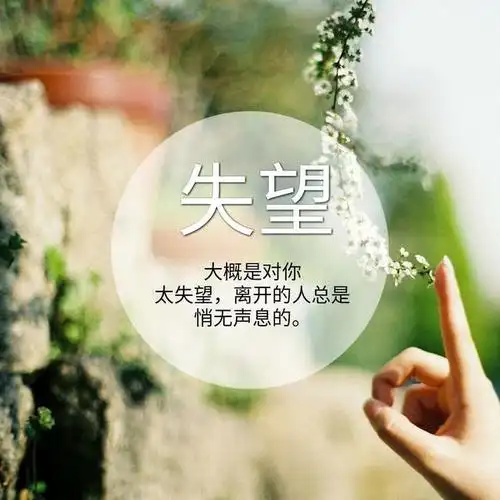 大概是太失望离开的人总是悄无声息