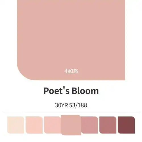 多乐士脏粉哪个好看纠结