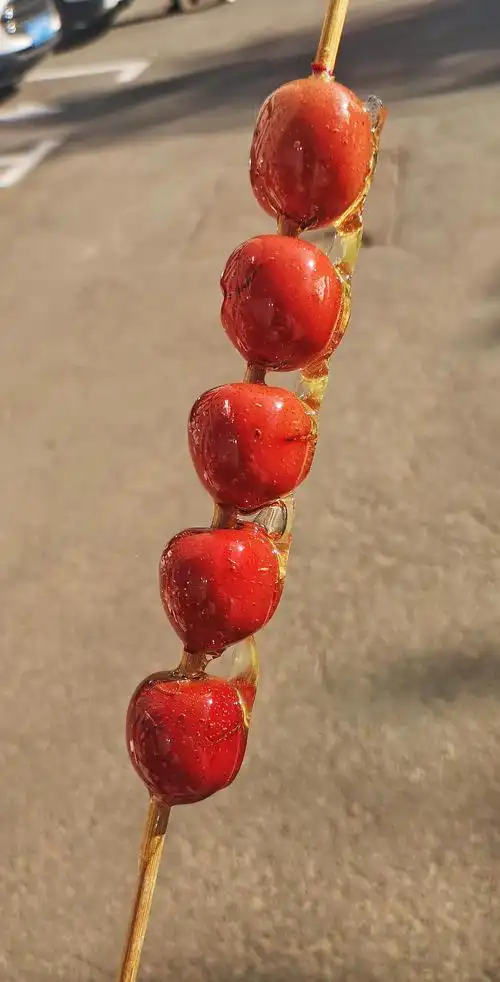 终于吃上了心心念念的冰糖葫芦