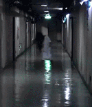 134_155gif 动态图 动图