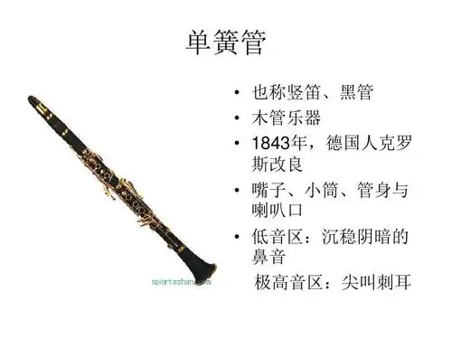 音乐欣赏--西洋管乐器.民族弹拨乐ppt