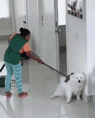 怎么今天不吸啦好不好萌哒宠物君