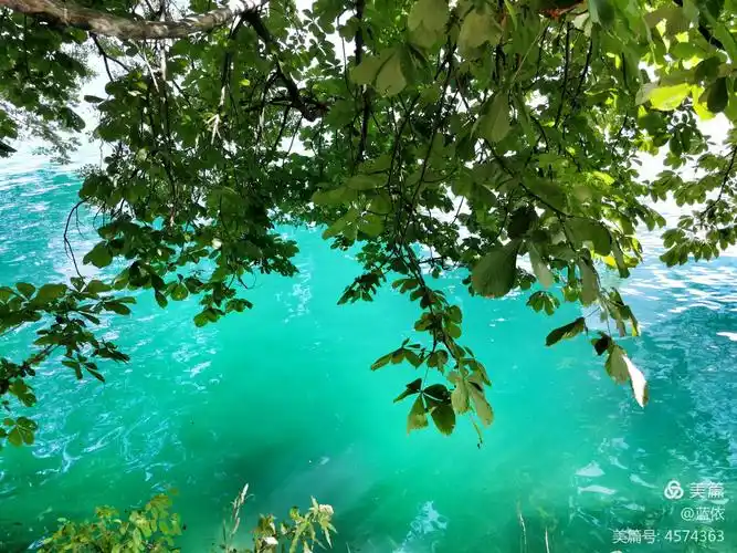 写美篇湖岸深深浅浅的各种绿色中, 不同的光线下, 湖水呈现出不同的绿