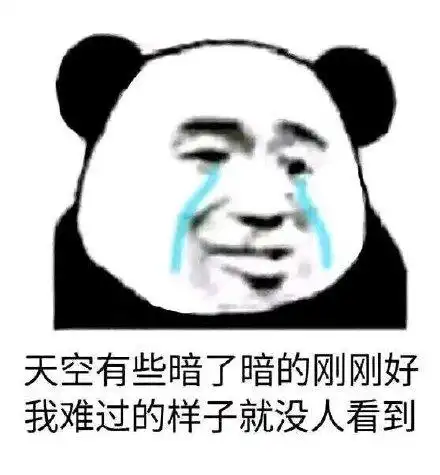 我难过的样子就没人看到(流泪熊猫头)_熊猫_流泪_难过_没人_天空表情