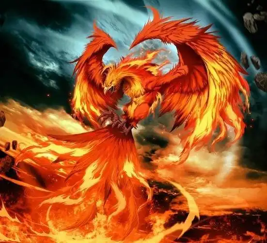 12地支五行对应八卦_太极八卦对应的神兽_剑灵神兽八卦牌