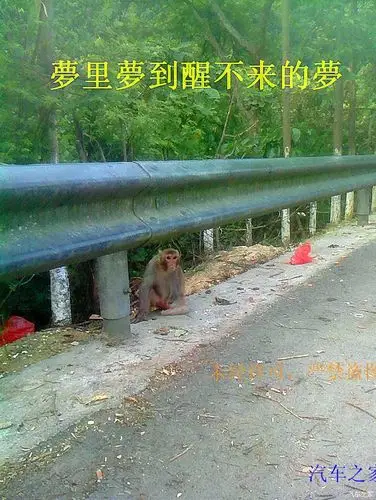 00后梦里梦到醒不来的梦三月初二游览龙虎山