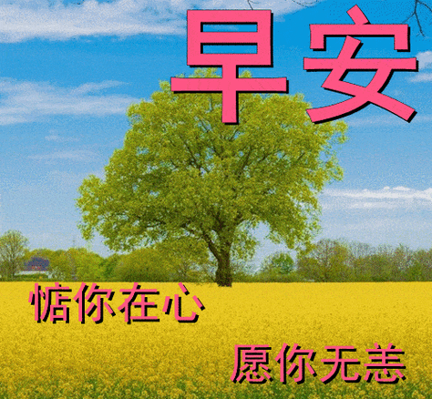 11月22日早上好动态表情图片大全,早晨好动图美图大全