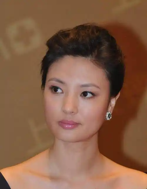 原创刘芳菲近照非常的优雅迷人她已经43岁了婚姻感情尽皆成谜