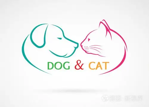 狗和猫在白色背景上的矢量图像