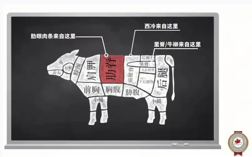 加拿大屠夫日记分辨三大经典牛排部位肉眼篇