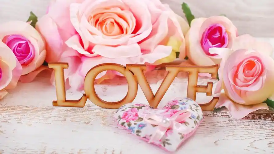 壁纸 粉红玫瑰,爱情,浪漫