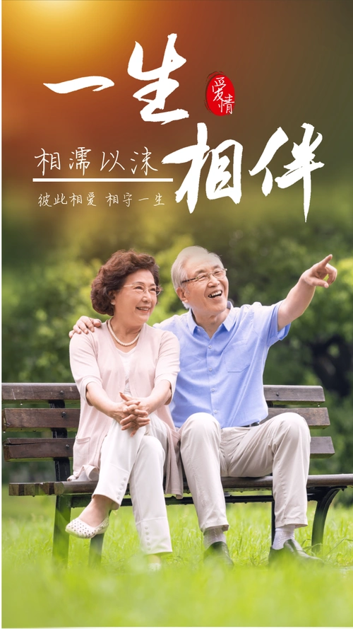 一生相守老人爱情陪伴摄影图海报