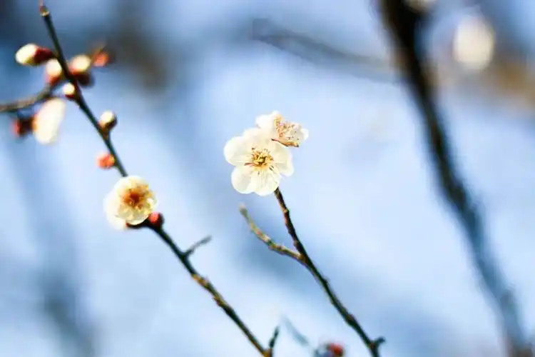 21个温柔致级的干净句子说得人心情大好乐观积极