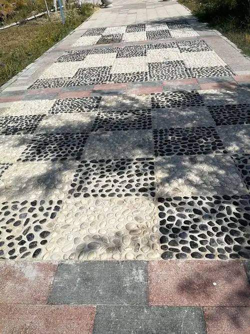 黑白石子镶嵌的小路,既美观又利健康
