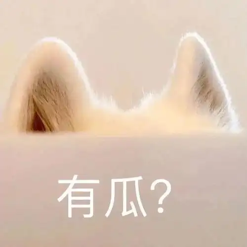 表情包,快乐分享!