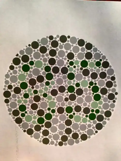 2020年最近驾考体检专用色盲检测图