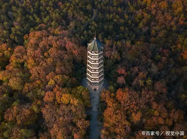 空中俯瞰江苏南京紫金山,金黄一片景致迷人,美不胜收!