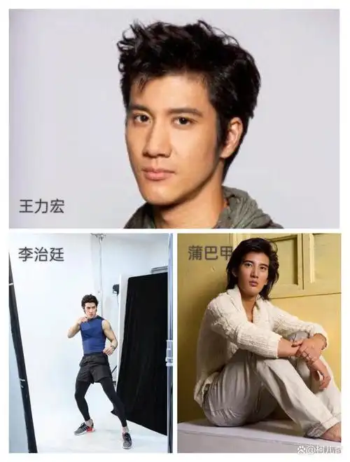 第一组 王力宏&李治廷&蒲巴甲