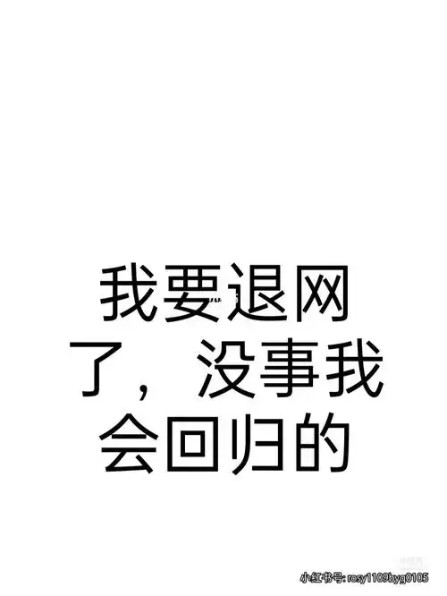 我退网了