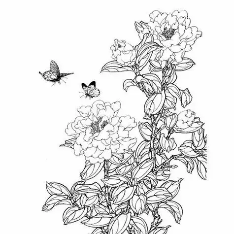 资料电子版新款高清金鱼鲤鱼工笔画白描底稿山水动物初学者线描临摹21