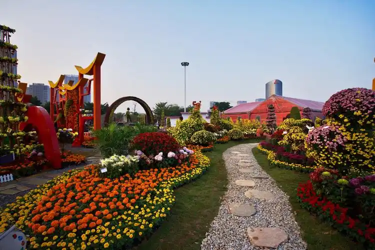 泉州滨海公园菊花展