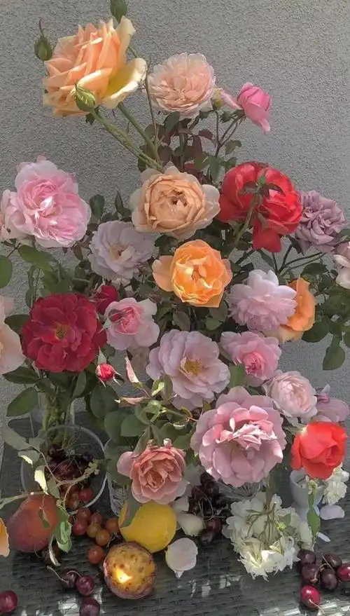 高清壁纸ins风 清新,ins复古欧美风壁纸高清,欧美风景壁纸 ins复古