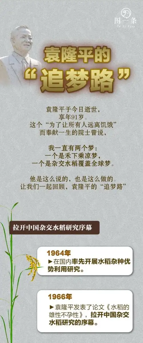 长图丨袁隆平的追梦路