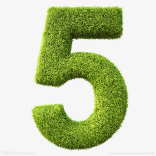 草坪数字5