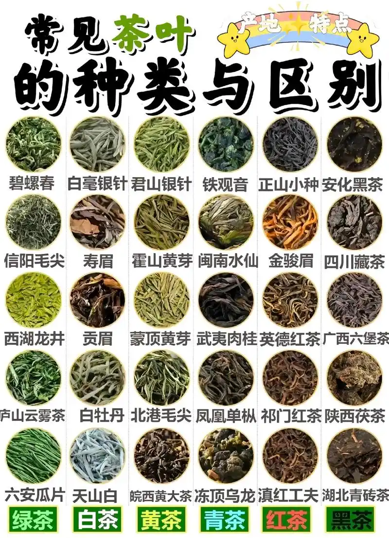 97常见茶叶的种类的区别97.