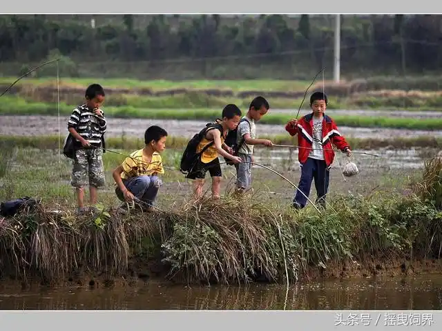 农村生活的图片回忆杀,记我们再也回不去的童年!