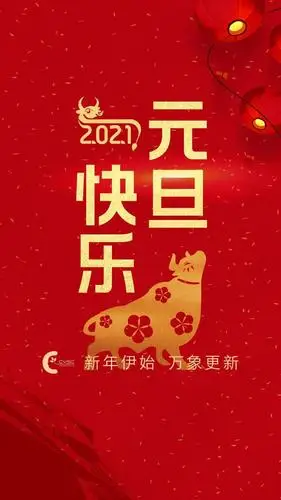 2021 | 新年伊始,元旦快乐_手机搜狐网