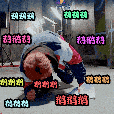 miniko每天被小猪魔性的笑声洗脑又或者是鸡条三精三傻的斗智斗勇还是