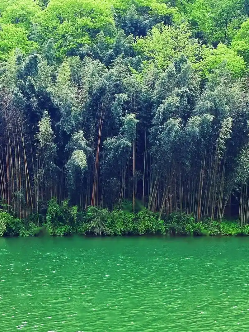 阳坝自然风景区