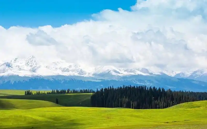 绿色护眼清新壁纸_唯美大自然风景