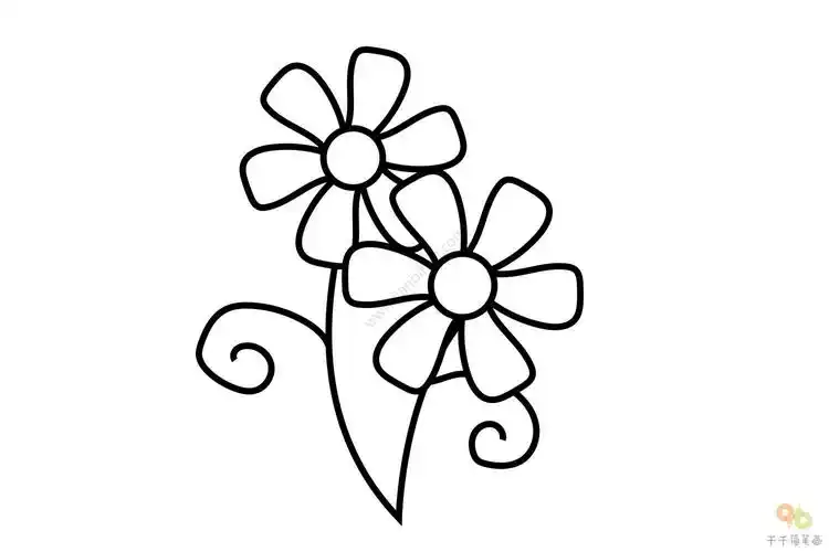 漂亮的太阳花简笔画