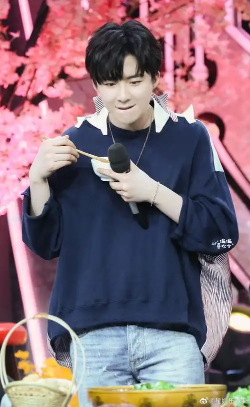 摩登兄弟刘宇宁天天向上花絮图