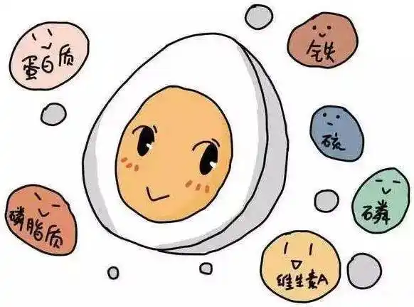 含人体必需的八种氨基酸,矿物质有铁,磷,钙等;还有维生素a,b2,b6,d,e