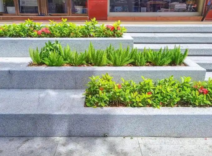 在深圳创业请认准这条路