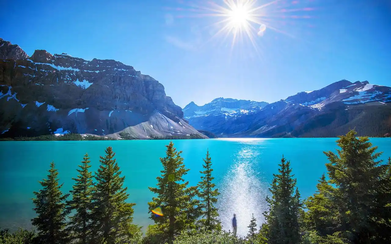 给自己的桌面换上清新护眼的壁纸吧,希望大家喜欢.