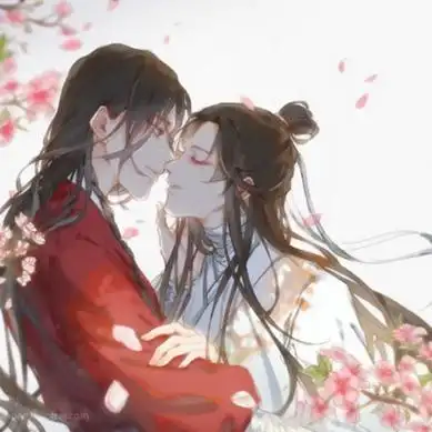 天官赐福花怜爱人动漫头像