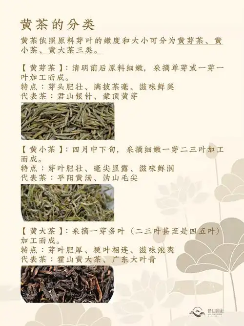 六大茶类中知道黄茶的人越来越少了