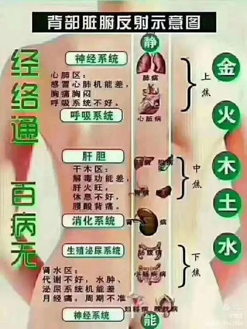 其它 梅兰的美篇 写美篇上焦不通 会造成经络淤堵,气血凝滞,出现高