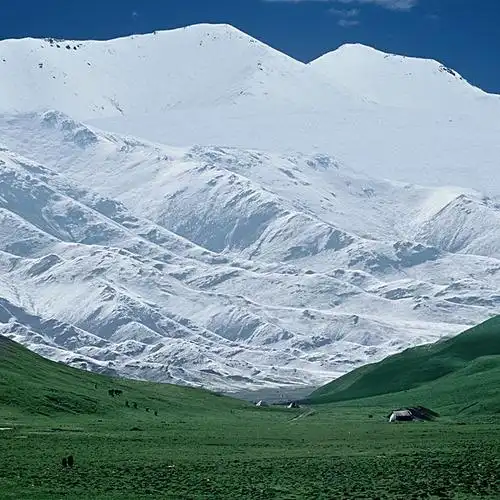 甘肃祁连雪山草地