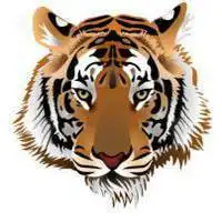 老虎头像图片凶猛_微信头像图片大全