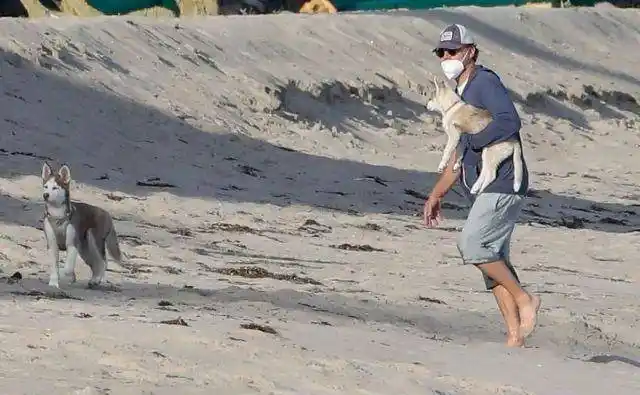莱昂纳多迪卡普里奥单手抱狗狗,光脚踩沙滩,变大叔也潇洒_样子_灰色
