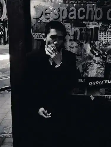 (春光乍泄)影评