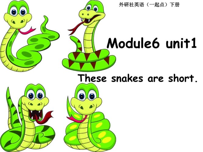 2015春外研版(一起)一下module 6《unit 1 these snakes are short》