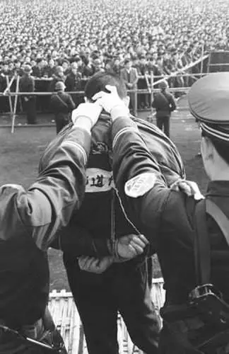 1998年,许海鸥被判处死刑.