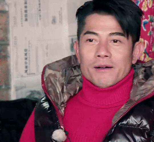 同意gif好gif开心gif我们十七岁gif综艺gif表情包gif郭富城gif